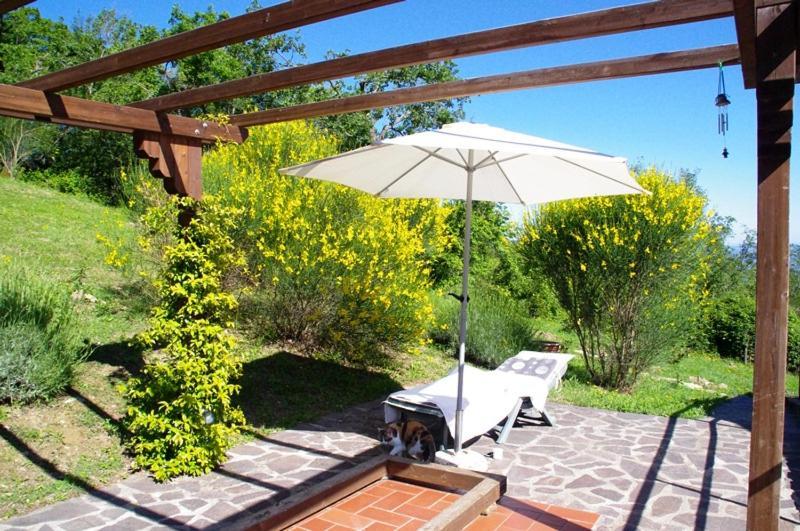 B&B Harem Arcidosso Eksteriør billede