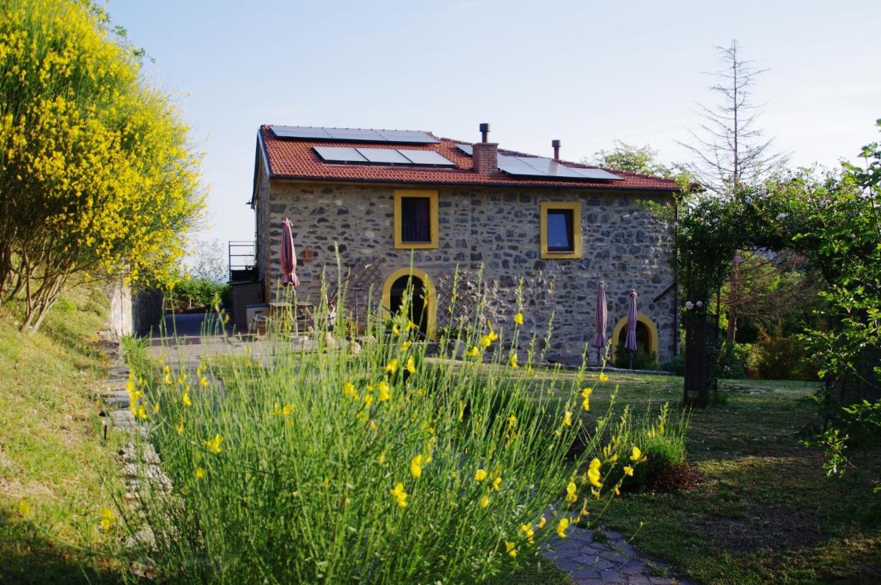B&B Harem Arcidosso Eksteriør billede