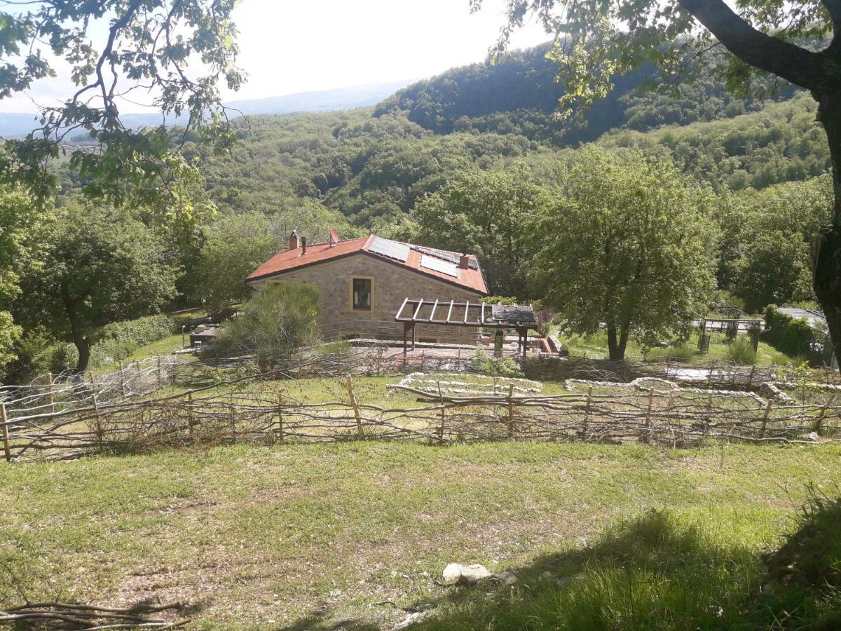 B&B Harem Arcidosso Eksteriør billede